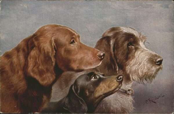 Hunde