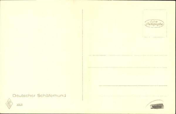 Hunde Deutscher Schäferhund – Bild 2