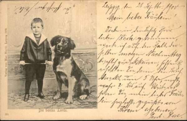 Hunde Kind Junge