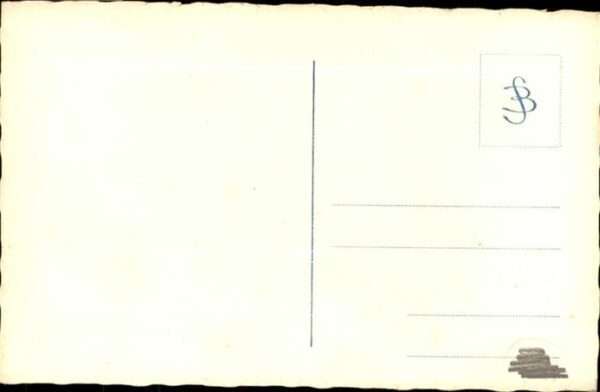 Hunde – Bild 2