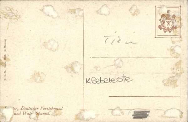 Hunde Deutscher Vorstehhund – Bild 2