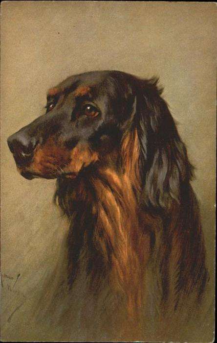 Hunde