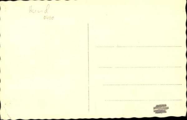 Hunde – Bild 2