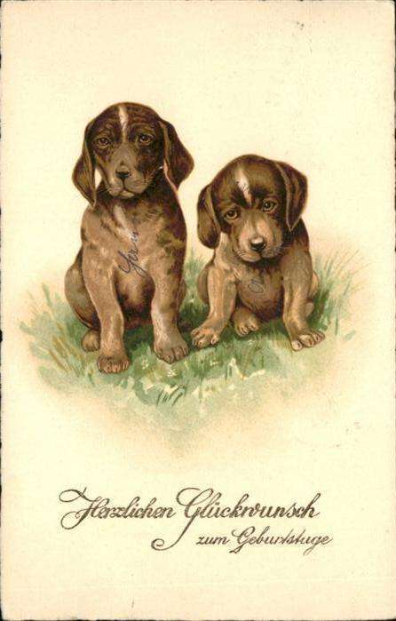 Hunde Geburtstag