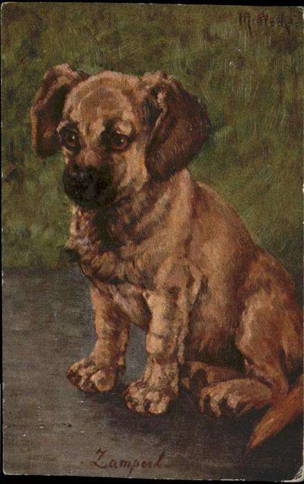 Hunde