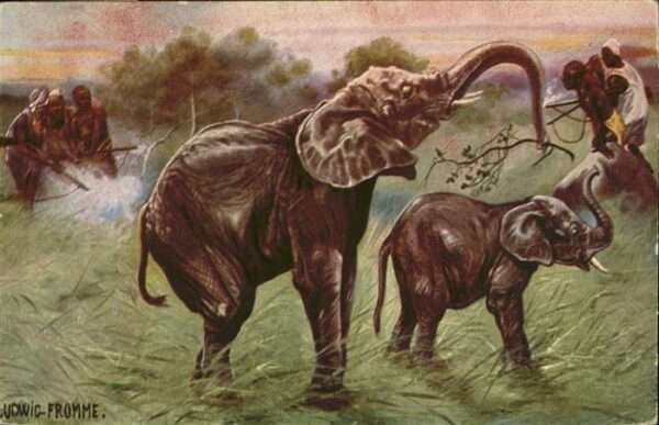 Dickhaeuter Elefanten Künstler Ludwig Fromme Jagd