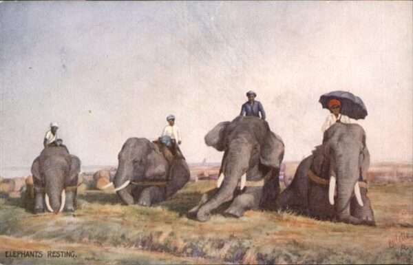 Dickhaeuter Elefanten Tucks Oilette Nr. 8902