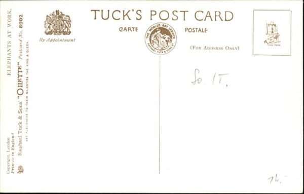 Dickhaeuter Elefant Tucks Oilette Nr. 8902 Elephant – Bild 2