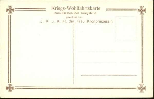 Adel Preussen Sohn Prinz Feldgrau – Bild 2