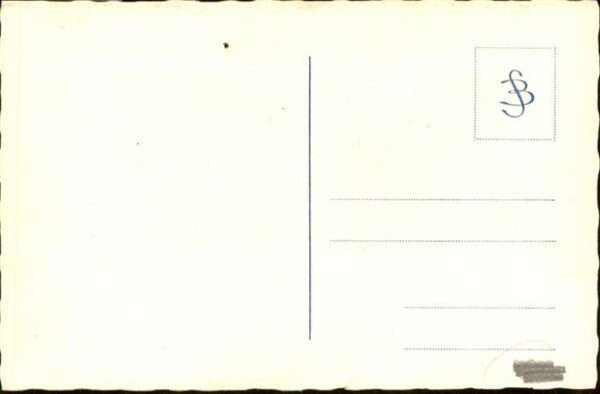 Hunde – Bild 2