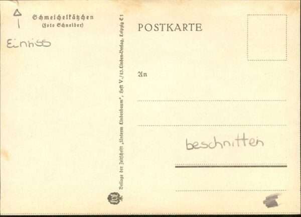 Katzen Schmeichelkätzchen – Bild 2