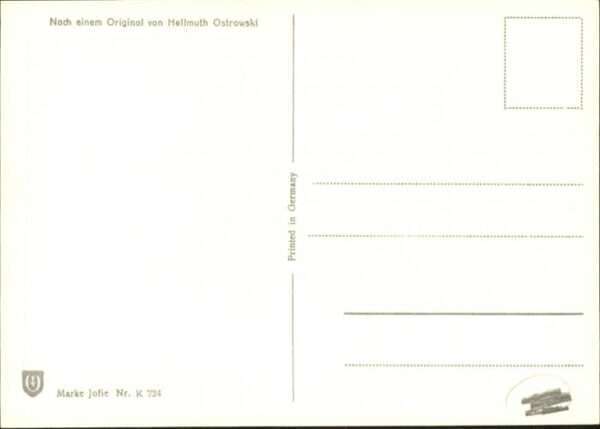 Katzen – Bild 2