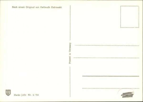 Katzen – Bild 2