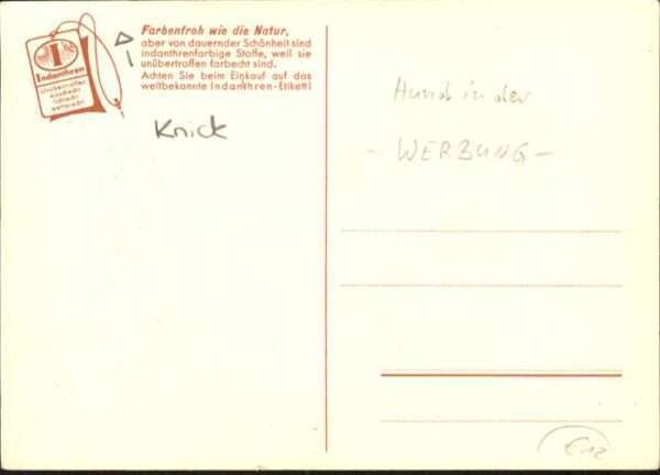 Hunde Werbung Indanthren – Bild 2