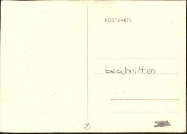 Hunde Bernhardiner – Bild 2