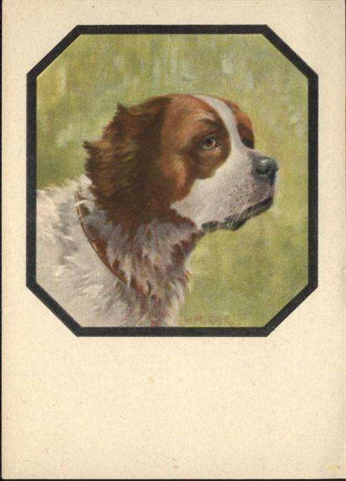 Hunde