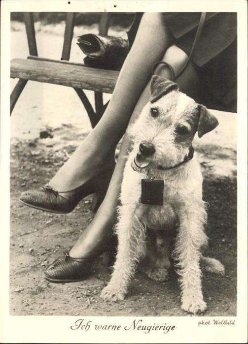Hunde