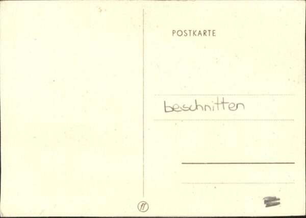 Hunde – Bild 2