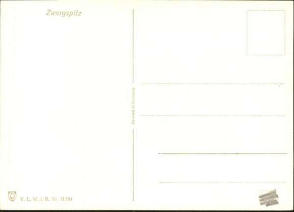 Hunde Zwergspitz – Bild 2