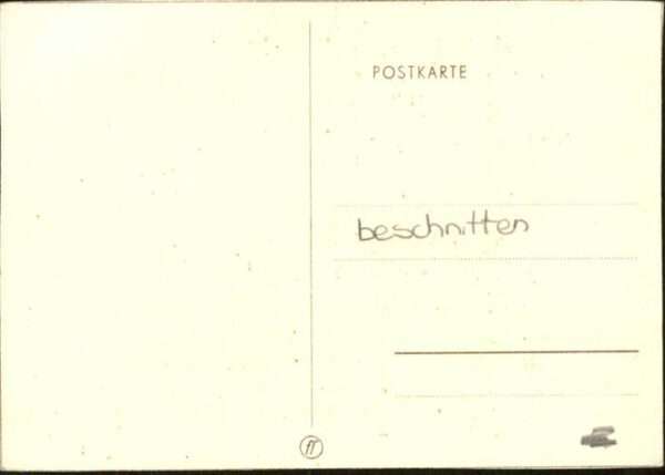 Hunde – Bild 2