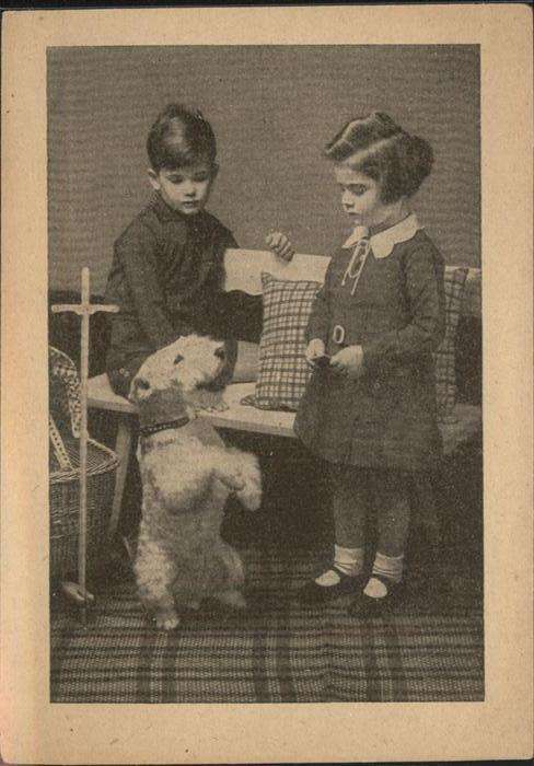 Hunde Kinder
