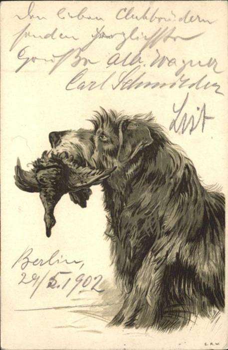 Hunde Vogel Jagd Prägedruckkarte