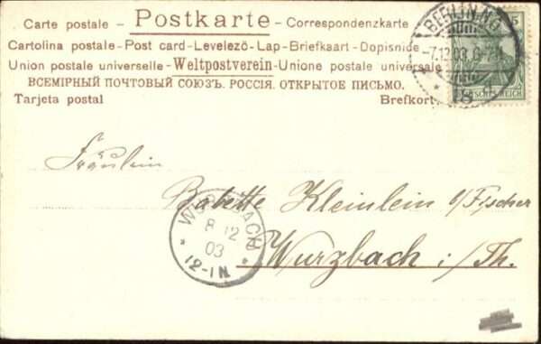 Hunde – Bild 2