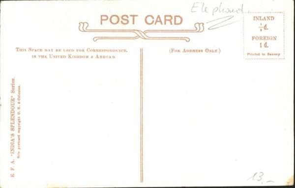 Dickhaeuter Elefant – Bild 2