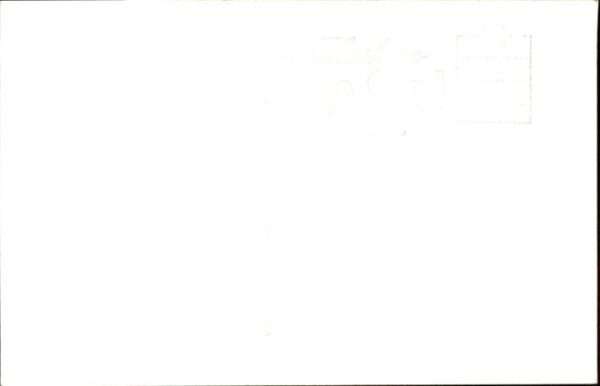 Arizona – Bild 2