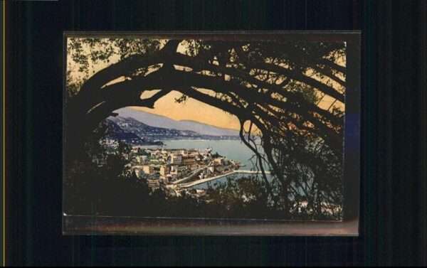 Monte-Carlo
