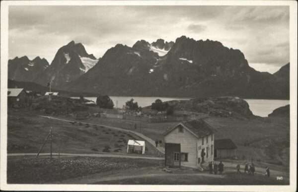 Dogermulen-Lofoten