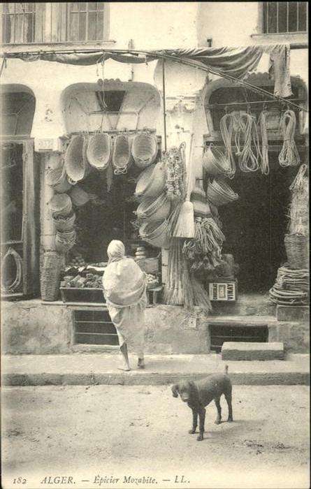 Alger Algerien Hund
