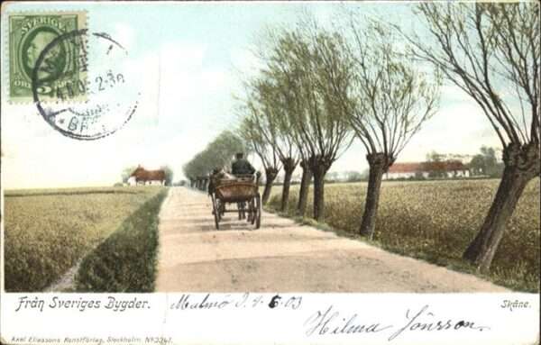 Malmo Kutsche