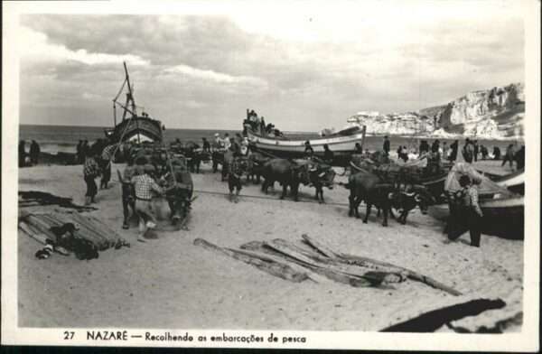 Nazare Portugal Recolhendo Kühe Schiff