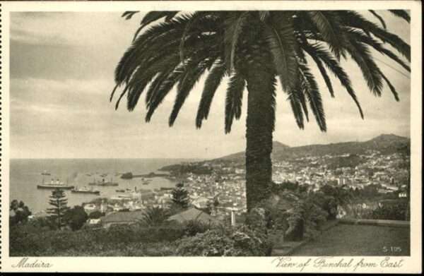 Madeira Portugal Funchal from East