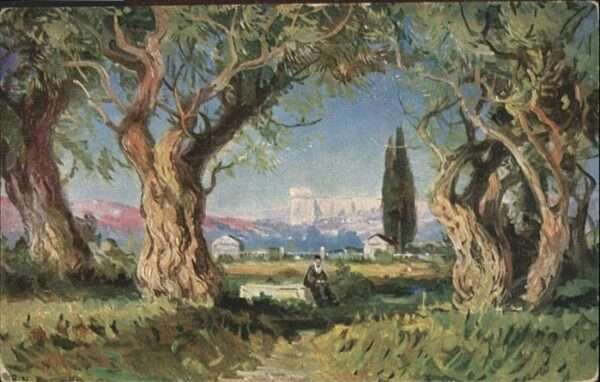 Jerusalem Yerushalayim Garten von Gethsemane