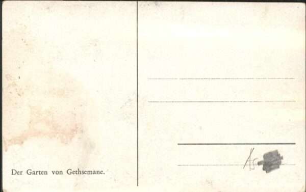Jerusalem Yerushalayim Garten von Gethsemane – Bild 2