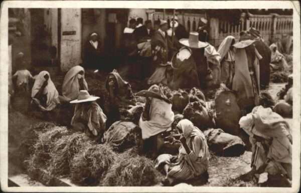 Tanger Tangier Tangiers Grand Socco Marchandes de foin