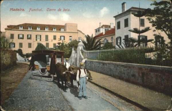 Madeira Portugal Funchal Carro de bois Ochsenkutsche