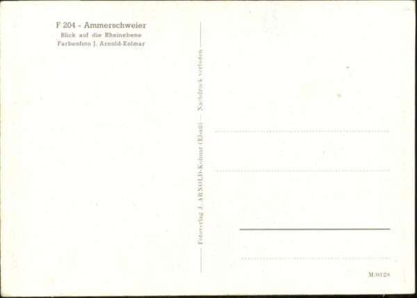 Ammerschweier Rheinebene – Bild 2