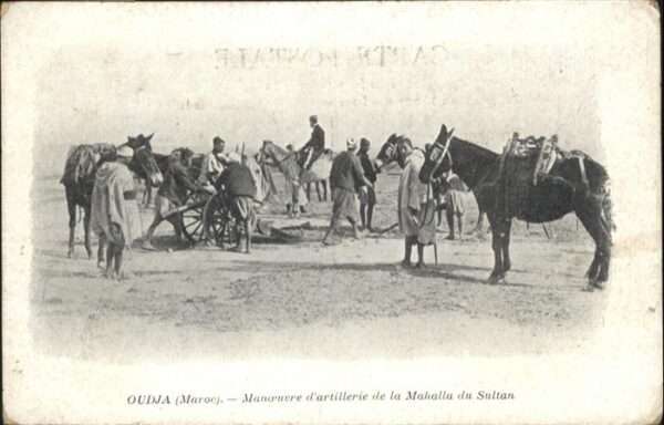 Oudja Mahalla du Sultan Pferd