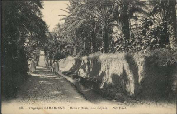 Biskra Paysages Sahariens Dans l'Oasis Seguia