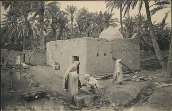 Biskra Oasis