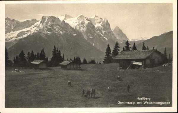 Hasliberg Gummenalp Wetterhorngruppe Kühe