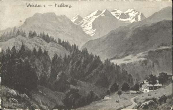 Hasliberg Weisstanne