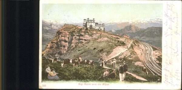 Rigi Kulm Kühe