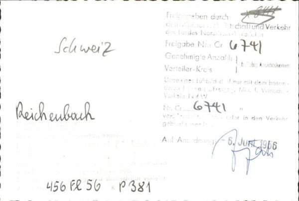 Reichenbach Schattenhalb Fliegeraufnahme – Bild 2