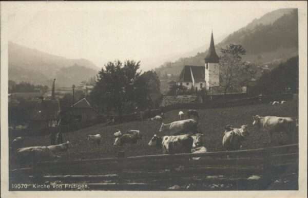 Frutigen Kirche Kühe