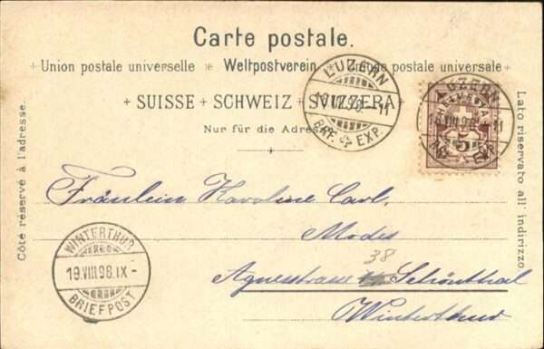 Luzern LU Enzian – Bild 2