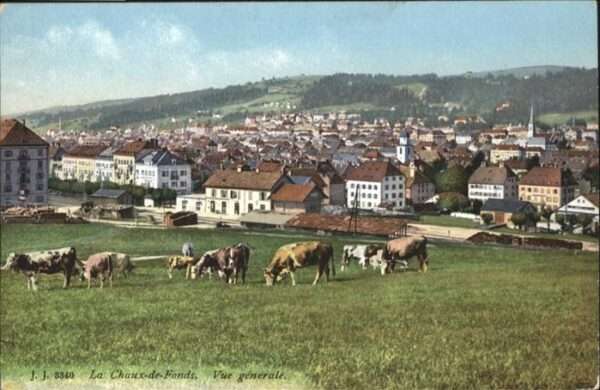 La Chaux-de-Fonds Kühe